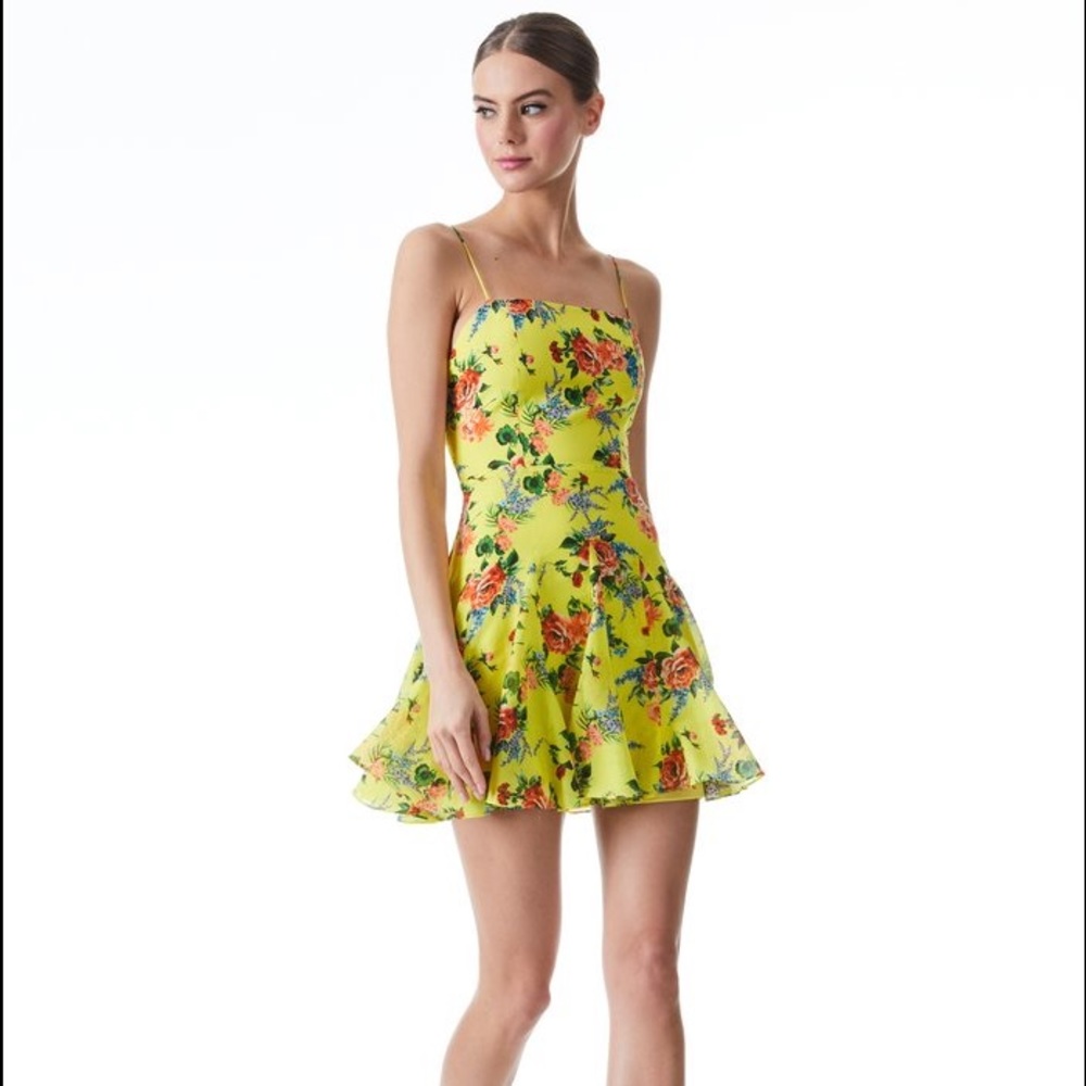 Alice & Olivia Ginny Spaghetti Strap Godet Dress 0